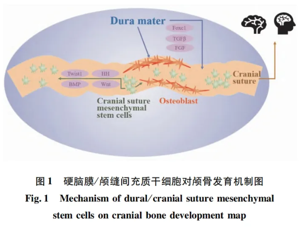 1735290638904071.png image.png