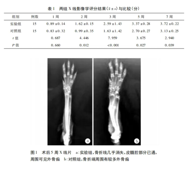 1741309509168834.png image.png