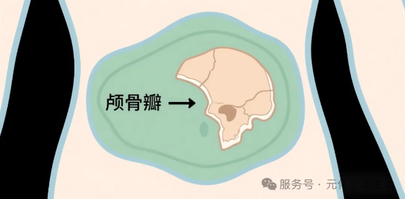 1755162922359830.png image.png